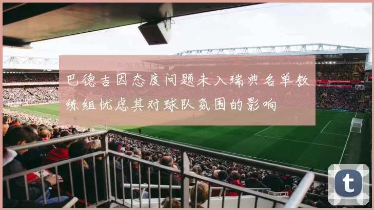 巴德吉因态度问题未入瑞典名单教练组忧虑其对球队氛围的影响