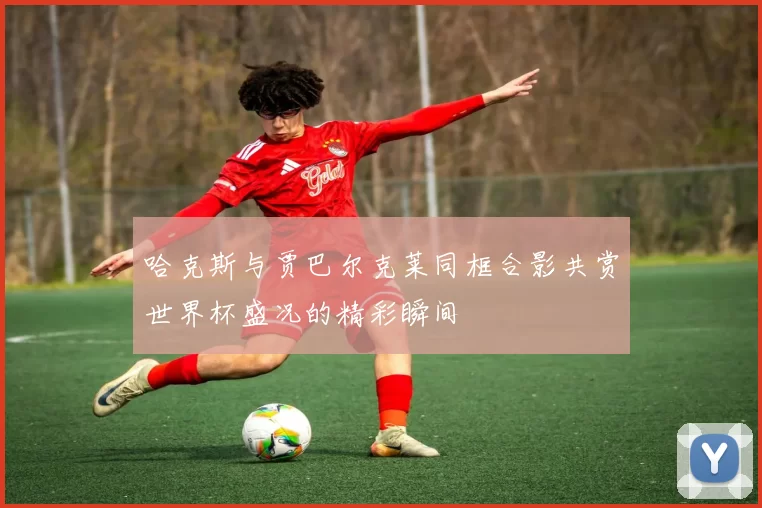 哈克斯与贾巴尔克莱同框合影共赏世界杯盛况的精彩瞬间