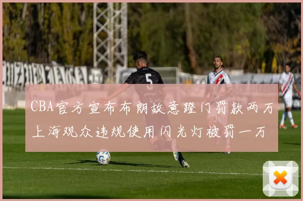 CBA官方宣布布朗故意蹬门罚款两万上海观众违规使用闪光灯被罚一万